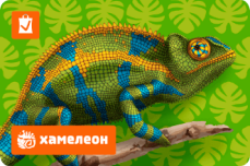 Белмаркет - Карта лояльности "Хамелеон"